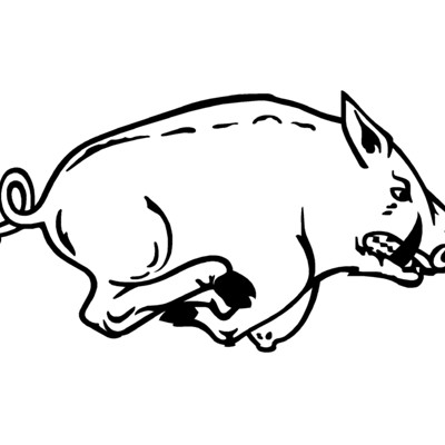 Boar Hog